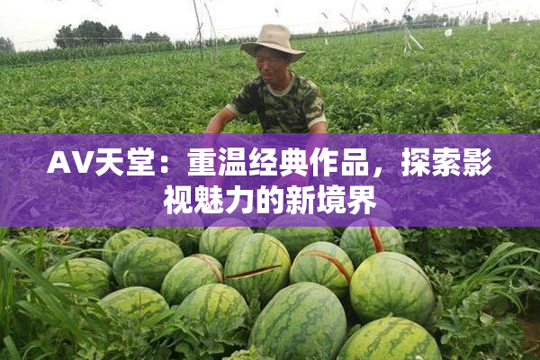 AV天堂：重温经典作品，探索影视魅力的新境界