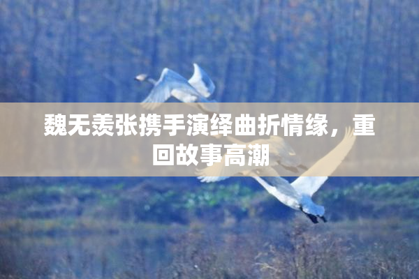魏无羡张携手演绎曲折情缘，重回故事高潮