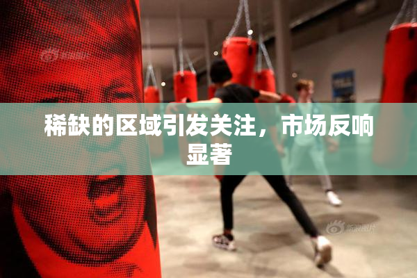 稀缺的区域引发关注，市场反响显著
