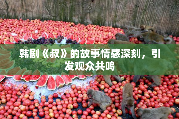 韩剧《叔》的故事情感深刻，引发观众共鸣