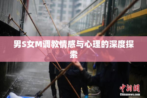 男S女M调教情感与心理的深度探索