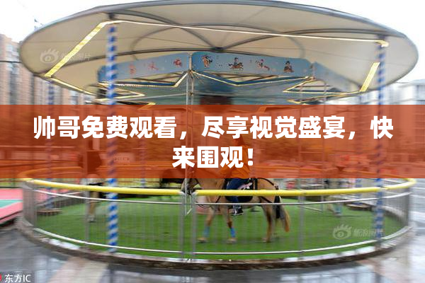 帅哥免费观看，尽享视觉盛宴，快来围观！