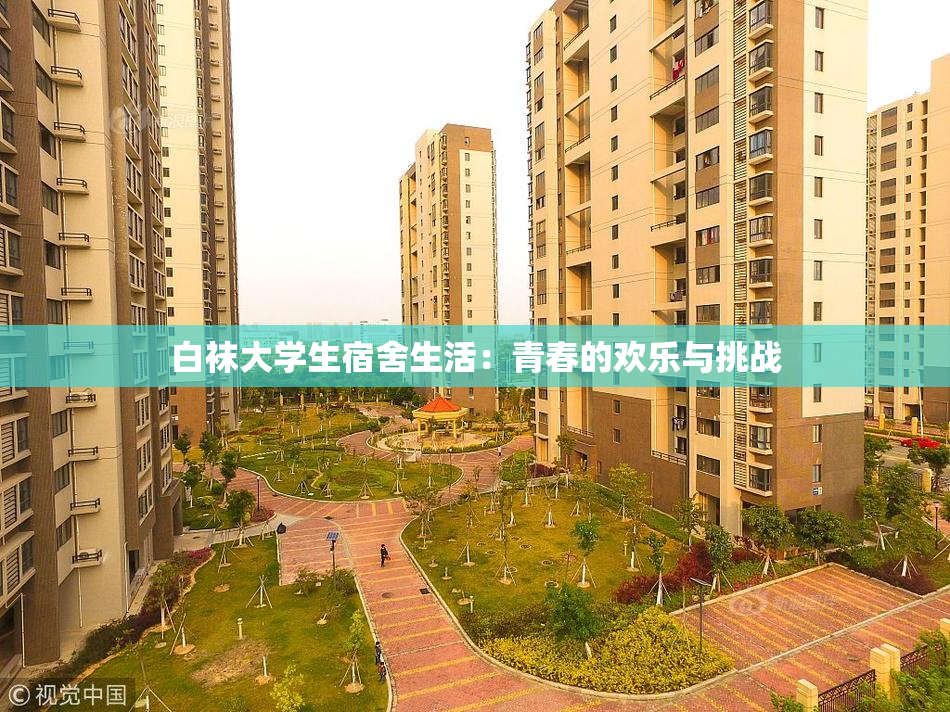 白袜大学生宿舍生活：青春的欢乐与挑战