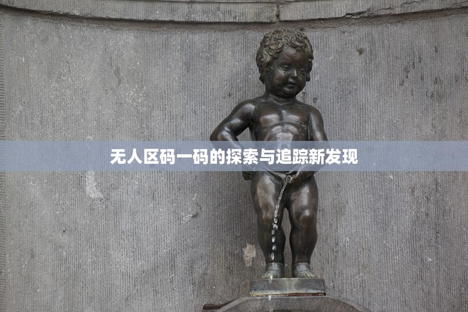 无人区码一码的探索与追踪新发现