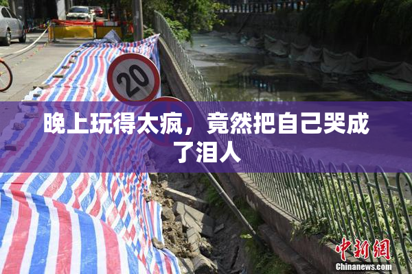 晚上玩得太疯，竟然把自己哭成了泪人