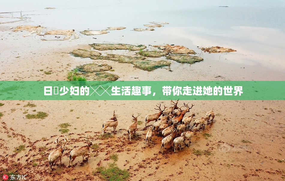 日夲少妇的╳╳生活趣事，带你走进她的世界