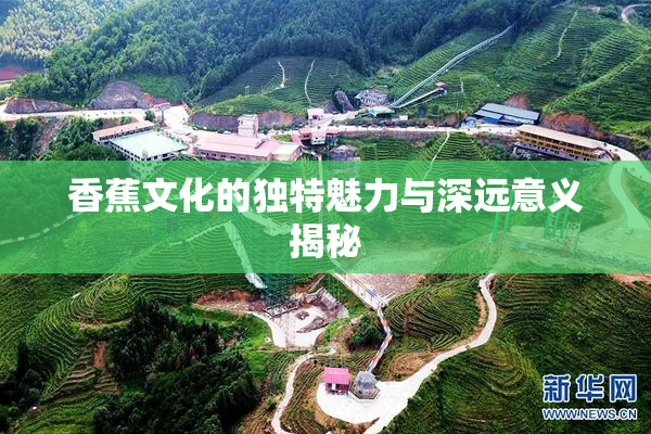 香蕉文化的独特魅力与深远意义揭秘