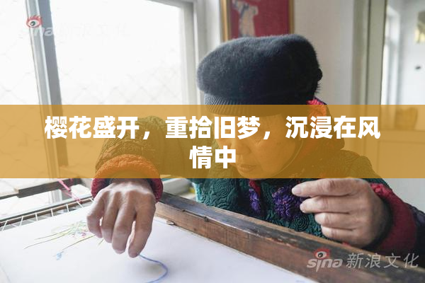 樱花盛开，重拾旧梦，沉浸在风情中