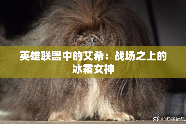 英雄联盟中的艾希：战场之上的冰霜女神