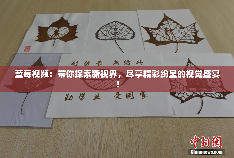 蓝莓视频：带你探索新视界，尽享精彩纷呈的视觉盛宴！