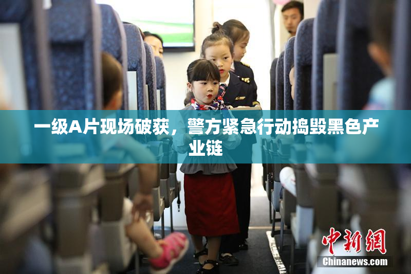 一级A片现场破获，警方紧急行动捣毁黑色产业链