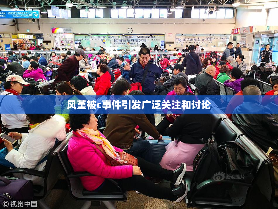风堇被c事件引发广泛关注和讨论