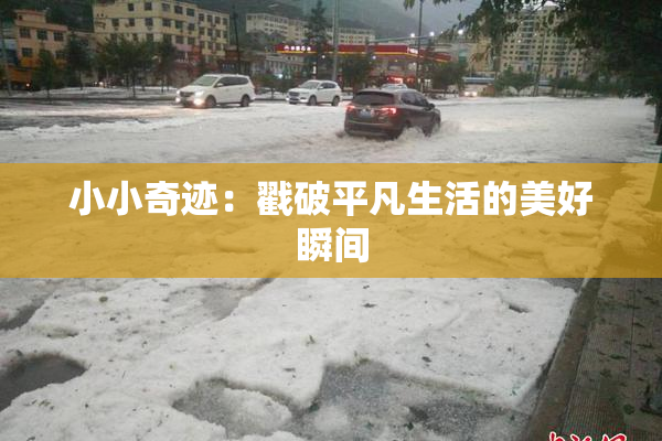 小小奇迹：戳破平凡生活的美好瞬间