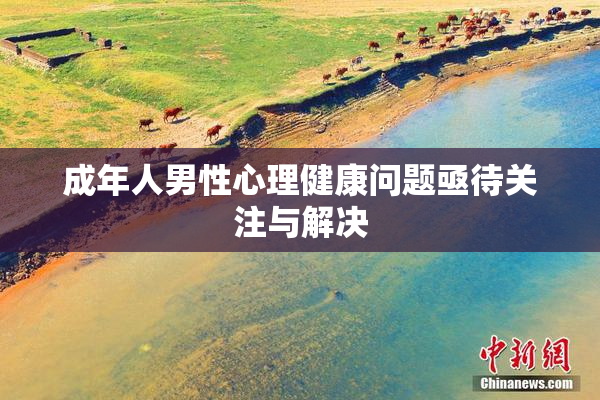成年人男性心理健康问题亟待关注与解决