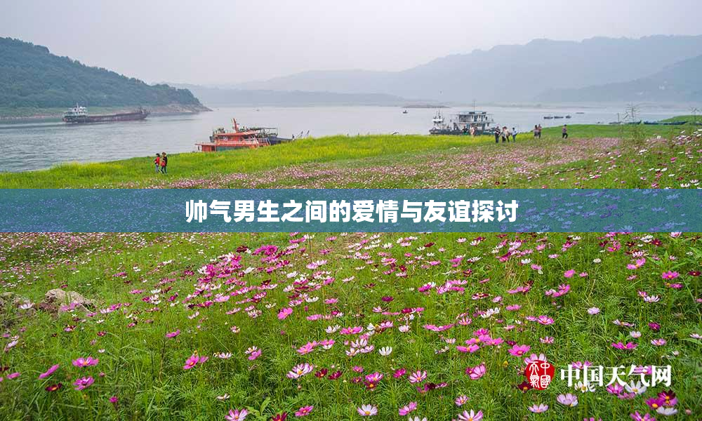 帅气男生之间的爱情与友谊探讨