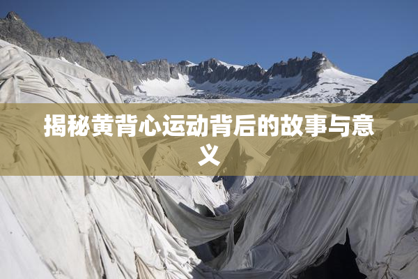 揭秘黄背心运动背后的故事与意义