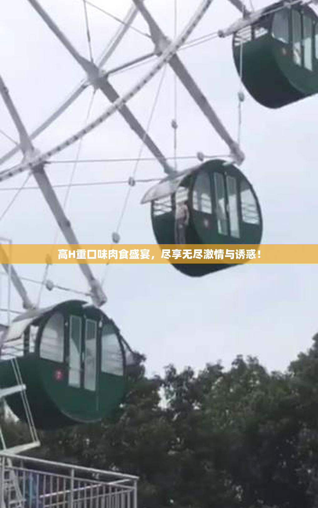 高H重口味肉食盛宴，尽享无尽激情与诱惑！