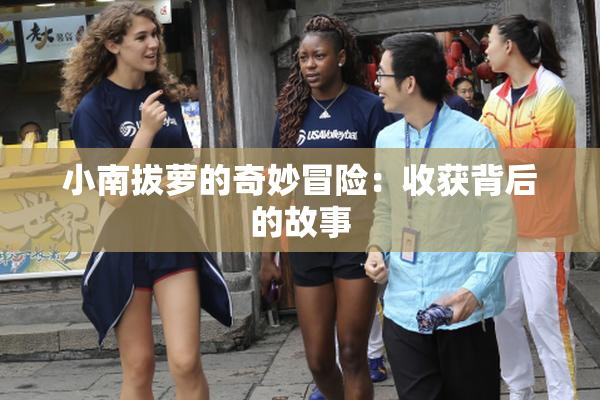 小南拔萝的奇妙冒险：收获背后的故事
