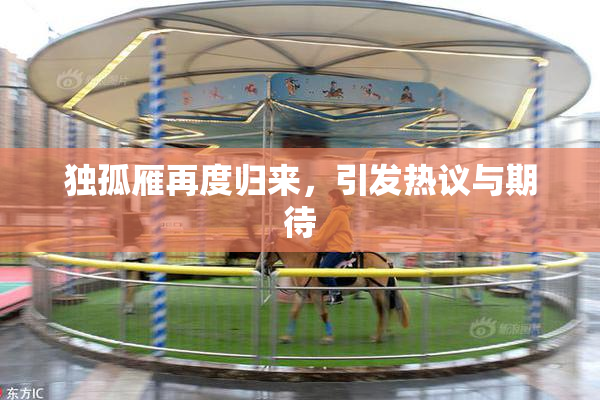独孤雁再度归来，引发热议与期待