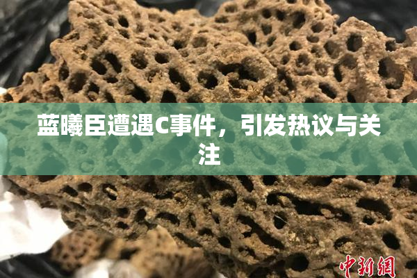 蓝曦臣遭遇C事件，引发热议与关注