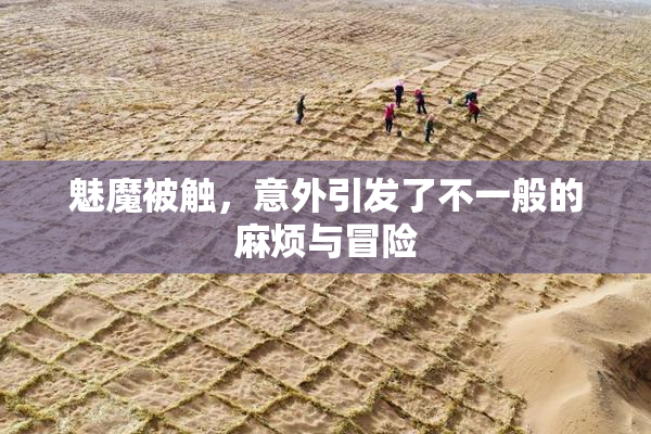魅魔被触，意外引发了不一般的麻烦与冒险
