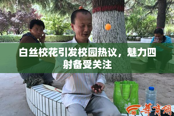 白丝校花引发校园热议，魅力四射备受关注