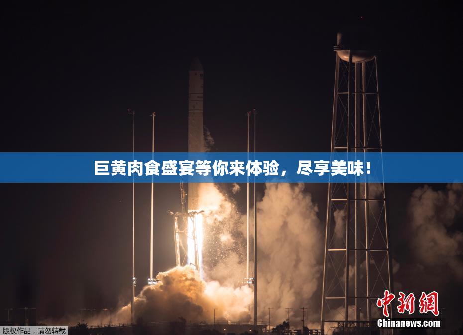巨黄肉食盛宴等你来体验，尽享美味！