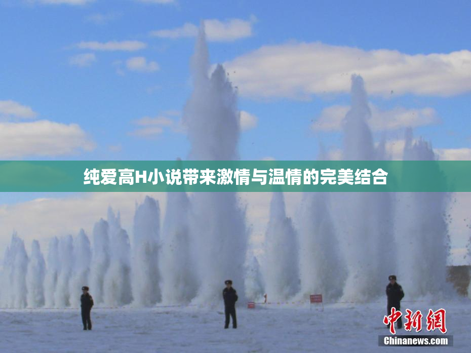 纯爱高H小说带来激情与温情的完美结合