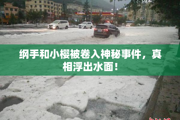 纲手和小樱被卷入神秘事件，真相浮出水面！