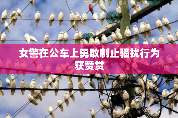 女警在公车上勇敢制止骚扰行为获赞赏