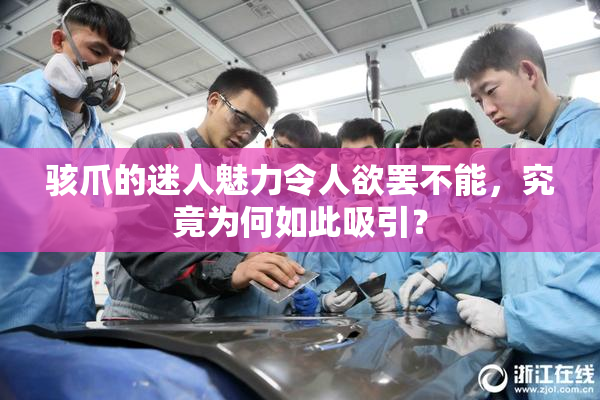 骇爪的迷人魅力令人欲罢不能，究竟为何如此吸引？