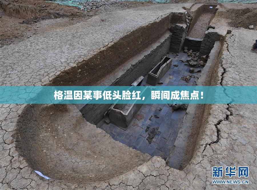 格温因某事低头脸红，瞬间成焦点！