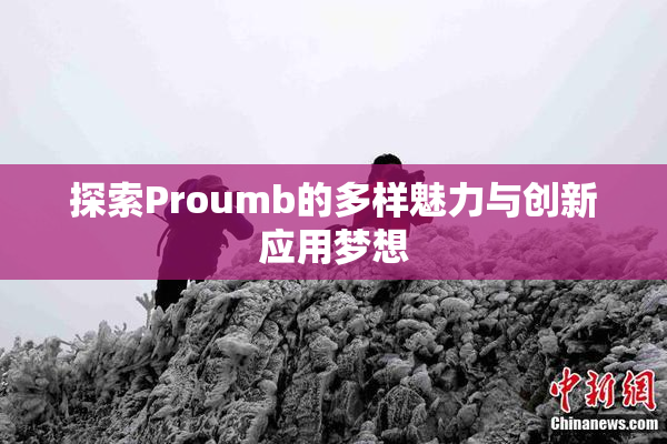 探索Proumb的多样魅力与创新应用梦想