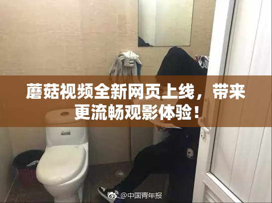 蘑菇视频全新网页上线，带来更流畅观影体验！
