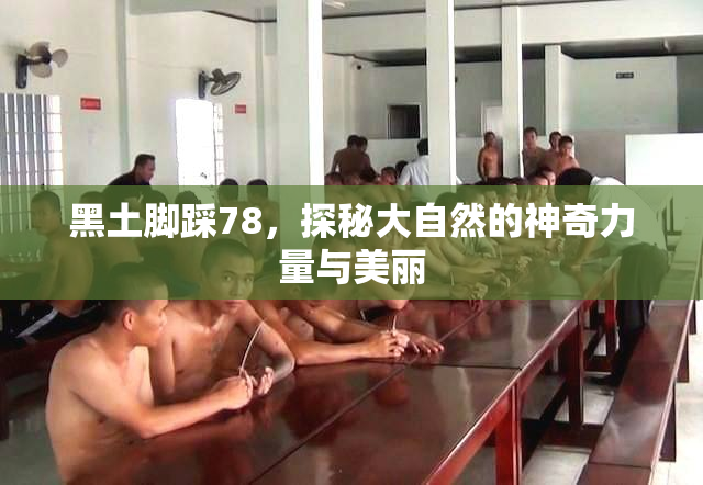 黑土脚踩78，探秘大自然的神奇力量与美丽