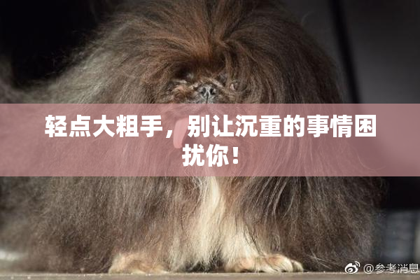 轻点大粗手，别让沉重的事情困扰你！