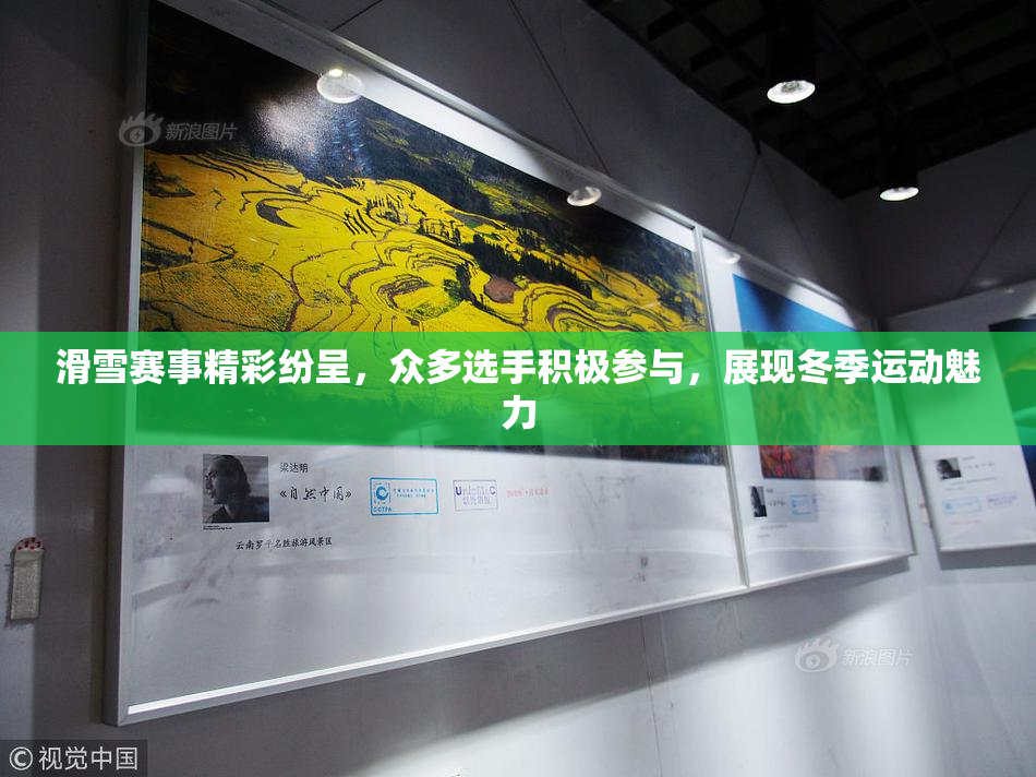 滑雪赛事精彩纷呈，众多选手积极参与，展现冬季运动魅力
