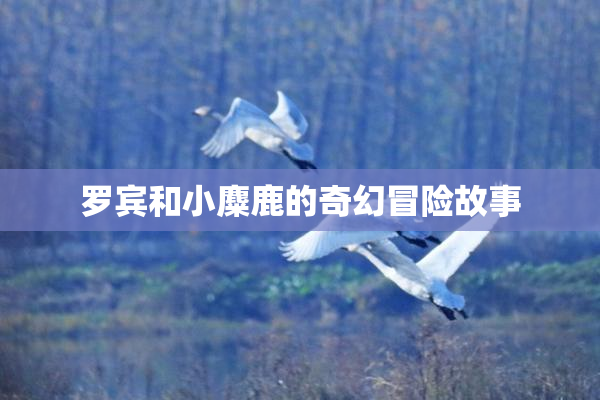 罗宾和小麋鹿的奇幻冒险故事