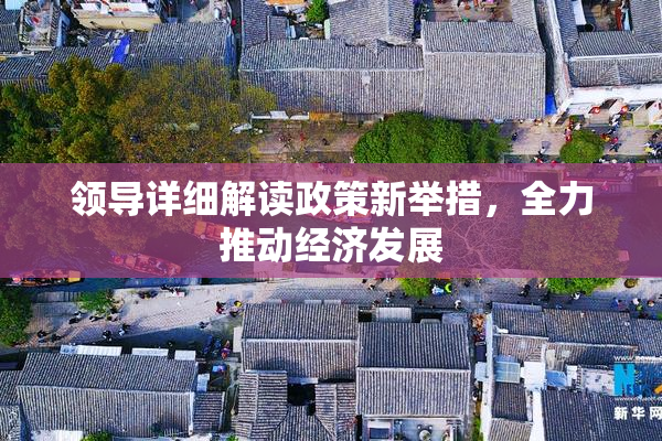 领导详细解读政策新举措，全力推动经济发展