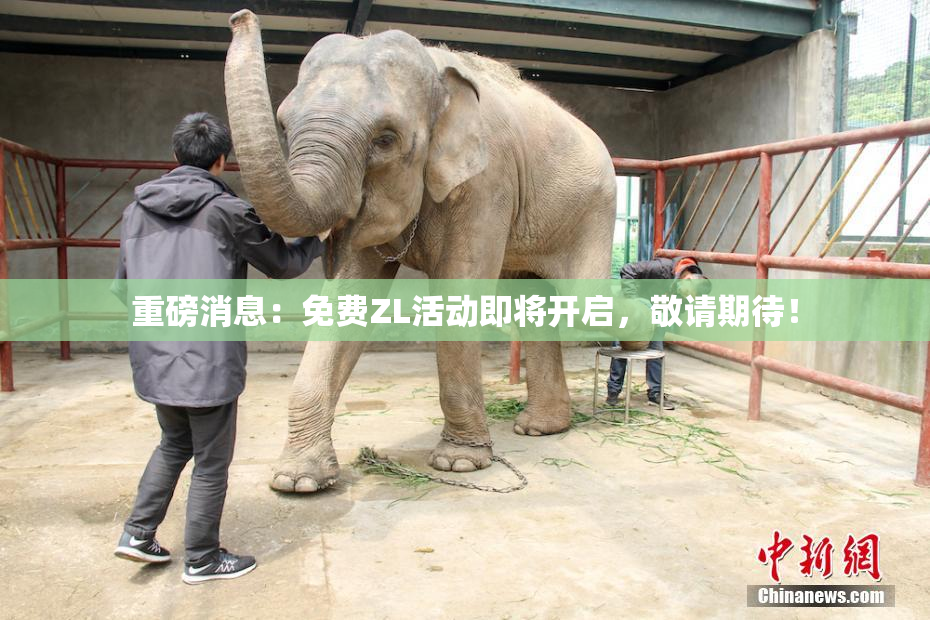 重磅消息：免费ZL活动即将开启，敬请期待！