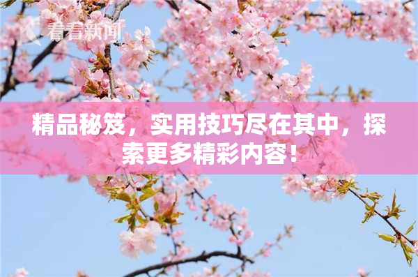 精品秘笈，实用技巧尽在其中，探索更多精彩内容！