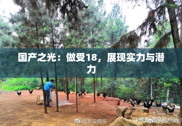 国产之光：做受18，展现实力与潜力