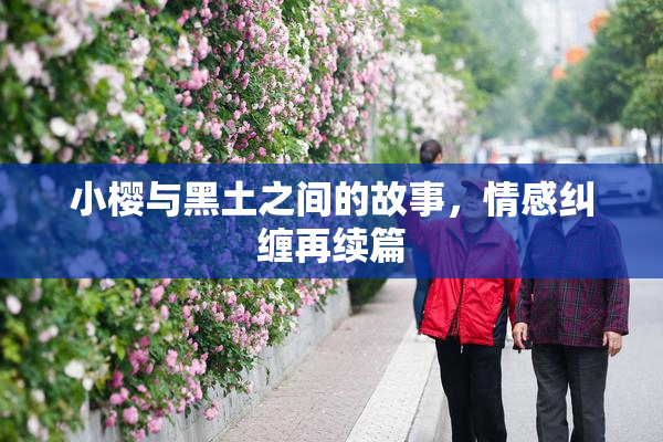 小樱与黑土之间的故事，情感纠缠再续篇