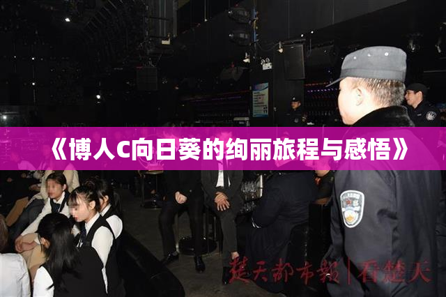 《博人C向日葵的绚丽旅程与感悟》