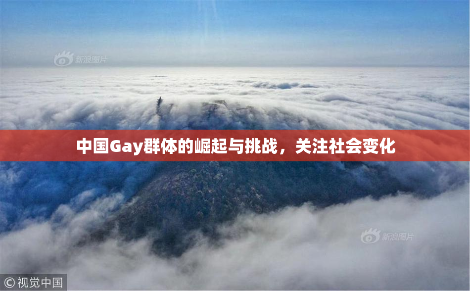 中国Gay群体的崛起与挑战，关注社会变化