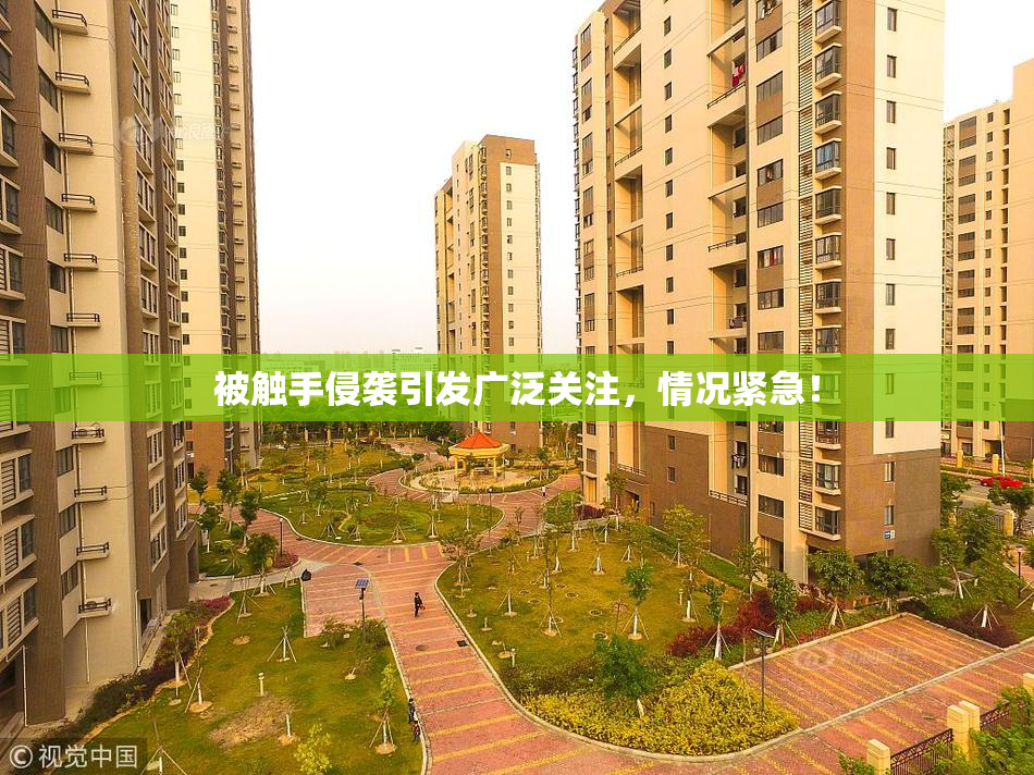 被触手侵袭引发广泛关注，情况紧急！