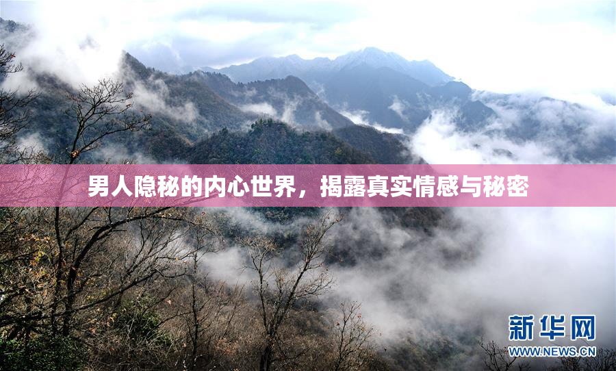 男人隐秘的内心世界，揭露真实情感与秘密