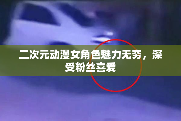二次元动漫女角色魅力无穷，深受粉丝喜爱