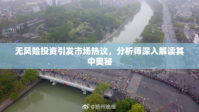 无风险投资引发市场热议，分析师深入解读其中奥秘