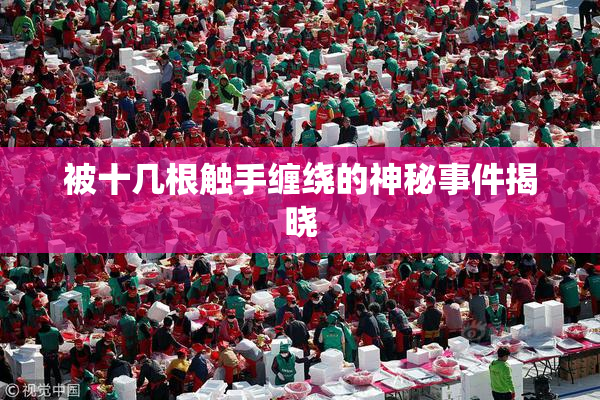 被十几根触手缠绕的神秘事件揭晓